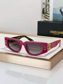 Picture of Roberto Cavalli Sunglasses _SKUfw69699339fw
